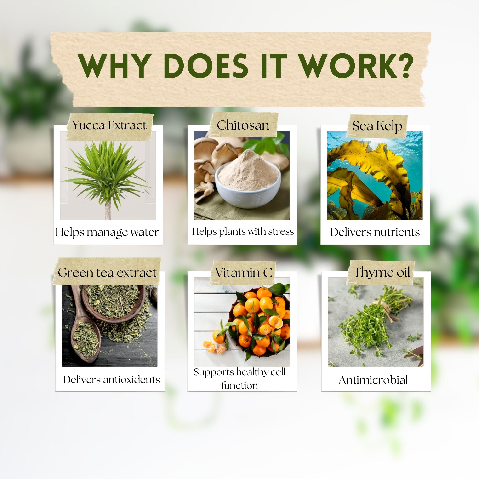 Wholesale Partner: Urban Gardener - Super Growth Elixir - Total Plant Health Spray