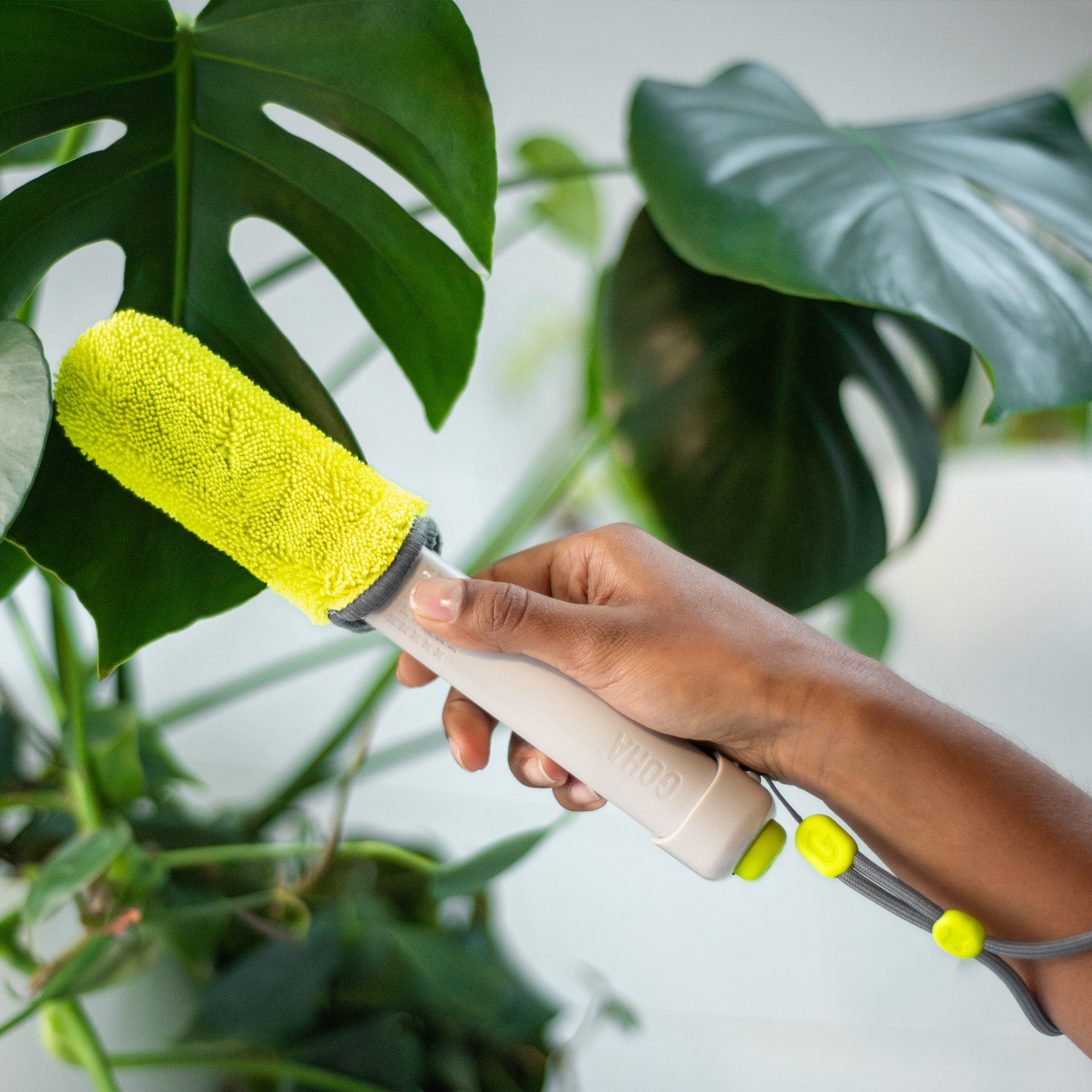cleaning monstera leaves Leaf Sweep™ Plant Cleaning Tool