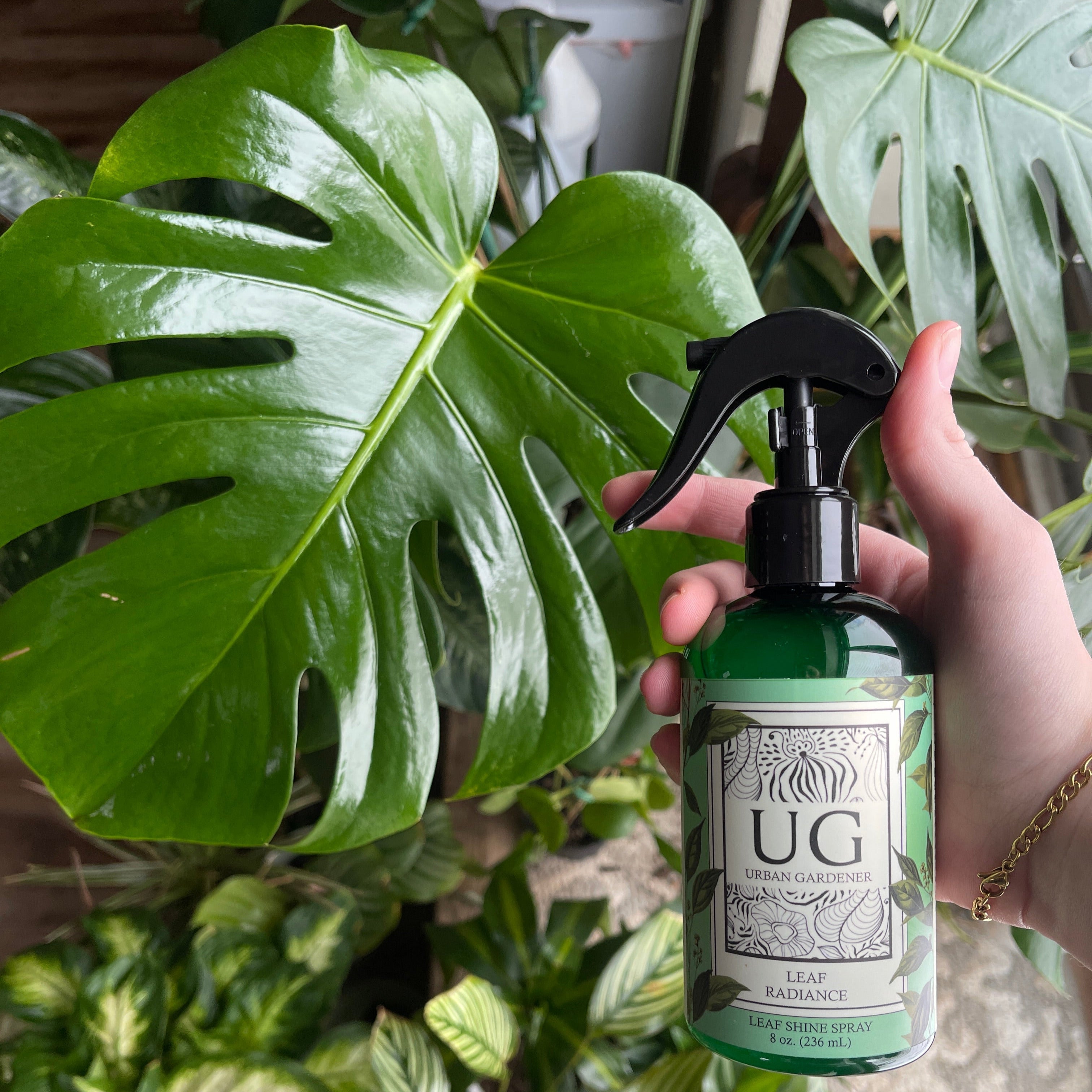 Wholesale Partner: Urban Gardener - Leaf Radiance - Cleaner, Conditioner, Shine