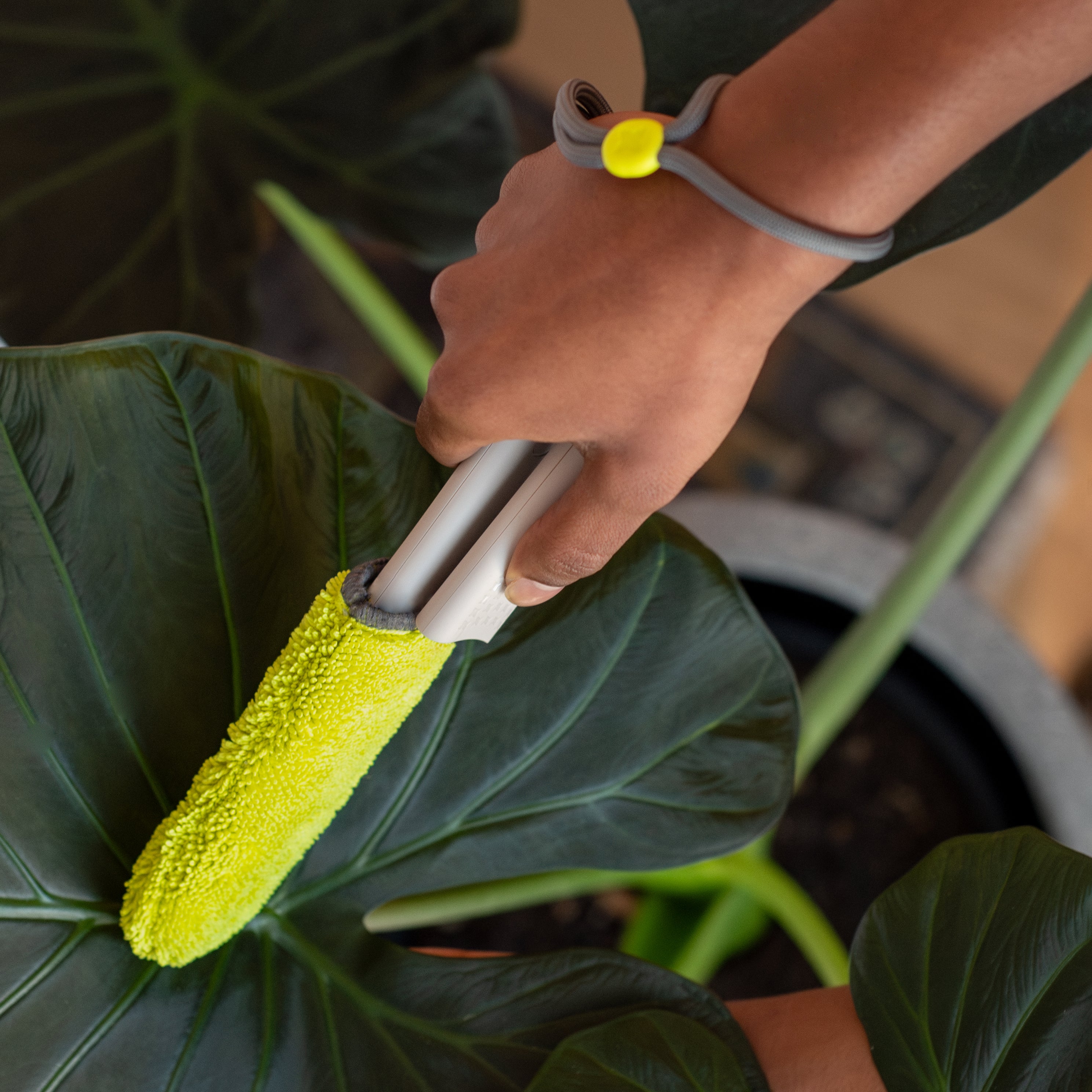 Leaf Sweep™ Plant Cleaning Tool - Starter Kit w/ Combo Covers