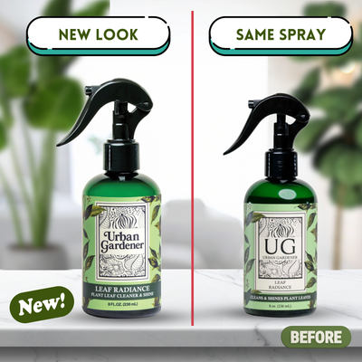 Wholesale Partner: Urban Gardener - Leaf Radiance 32oz Refill Bottle