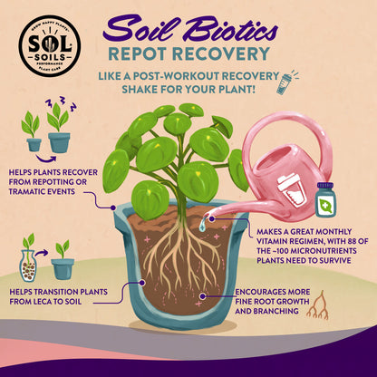 Wholesale Partner: Sol Soil - Sol Biotics - Repot Recovery