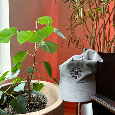 Turn Over a New Leaf Hat  - Charcoal (OS)