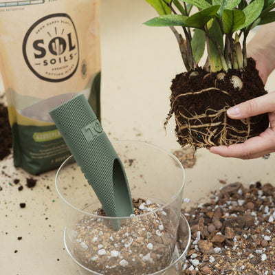 Wholesale Partner: Sol Soils - Granola Guy's Scrumptious Soil Scoop