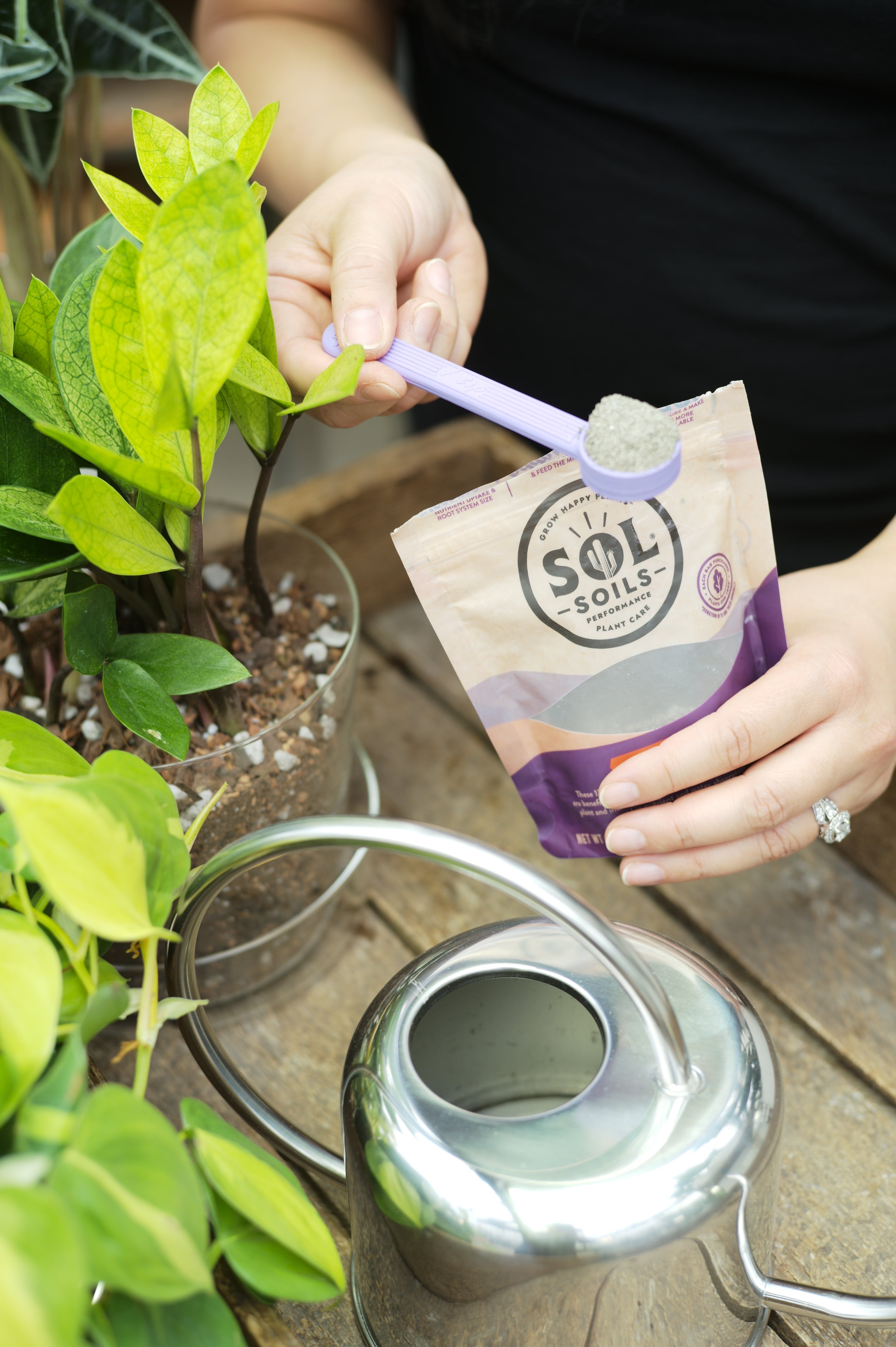Wholesale Partner: Sol Soil - Sol Biotics Purple Powder Spoon - 1 Teaspoon