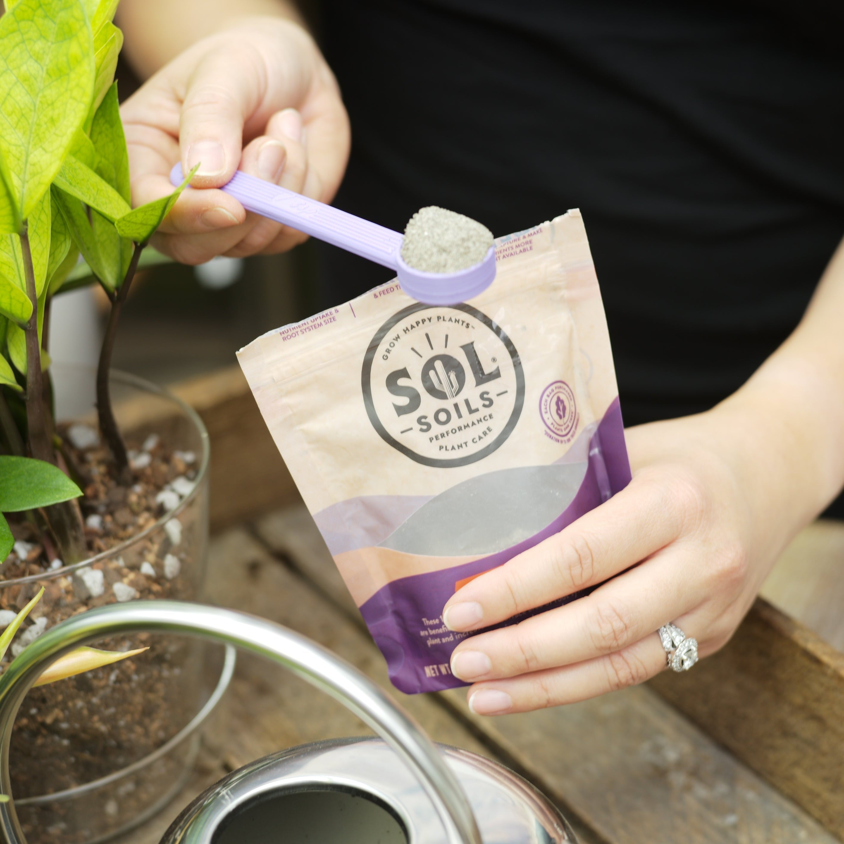 Wholesale Partner: Sol Soil - Sol Biotics Monthly Myco