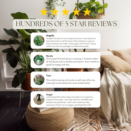 Wholesale Partner: Urban Gardener - UG 3 Pack Kit - Super Growth Elixir, Say No To Bugs, Leaf Radiance