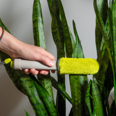 Plant Parent Bundle: Leaf Sweep™ Starter Kit + 1 x Pair Dusting/Combo Cover Refills