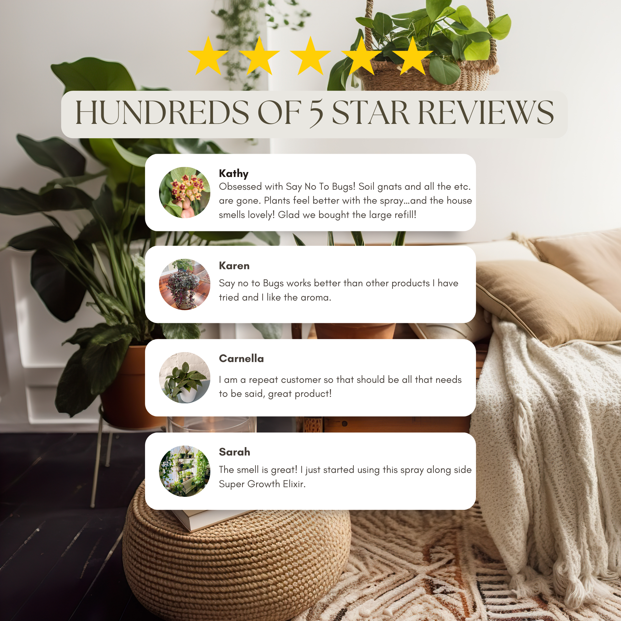 Wholesale Partner: Urban Gardener - Say No To Bugs - Natural Insect Treatment