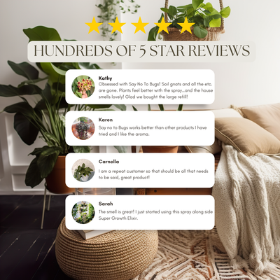 Wholesale Partner: Urban Gardener - Say No To Bugs - Natural Insect Treatment