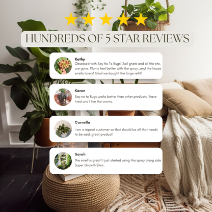 Wholesale Partner: Urban Gardener - Say No To Bugs - Natural Insect Treatment