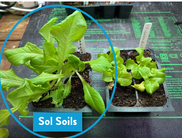Wholesale Partner: Sol Soil -n Seedling & Propagation Mix (Large Gallons Only to Start)