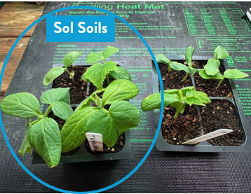 Wholesale Partner: Sol Soil -n Seedling & Propagation Mix (Large Gallons Only to Start)