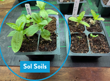 Wholesale Partner: Sol Soil -n Seedling & Propagation Mix (Large Gallons Only to Start)