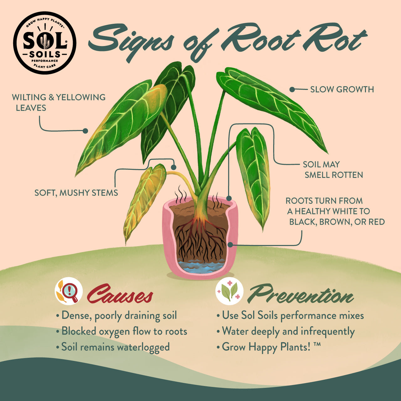 Wholesale Partner: Sol Soil - Houseplant Chunky Mix
