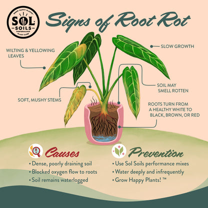 Wholesale Partner: Sol Soil - Houseplant Chunky Mix