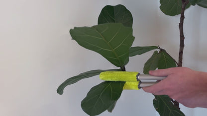 Leaf Sweep™ Starter Kit