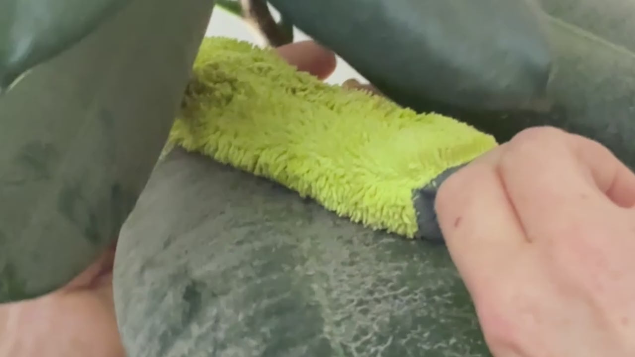 Load video: 