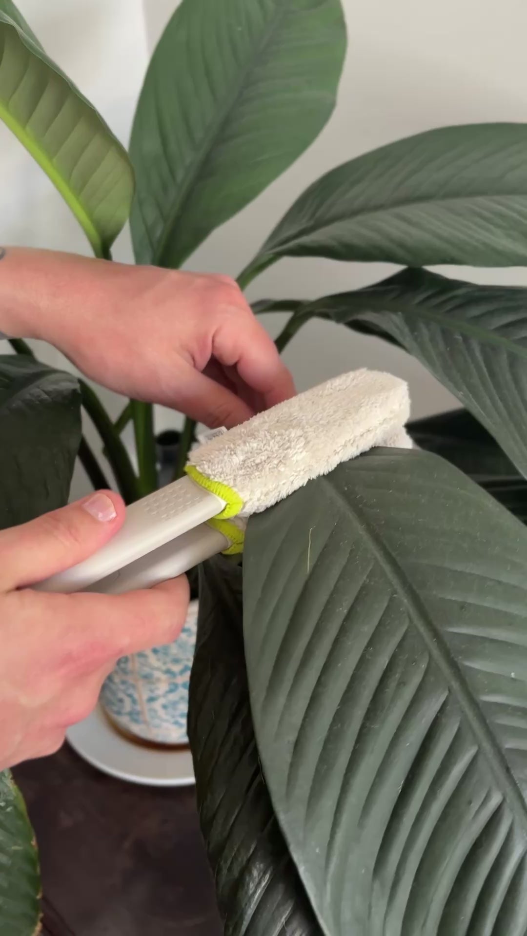 Leaf Sweep™ Dusting Cover Refill - 1 Pair